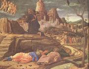 Andrea Mantegna The Agony in the Garden (nn03) oil